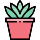 decoration,ecology and environment,nature,pot,plant,farming and gardening,gardening,leaves,flower,plant pot,botanic,flower pot,home decoration
