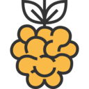 food,vegetable,food and restaurant,fruit,Raspberry,blackberry,viburnum fruit