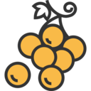 food,food and restaurant,fruit,grape,grapes,fruits,berry,berries,bouquet