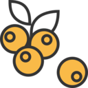 food,vegetable,healthy food,food and restaurant,organic,oil,olives