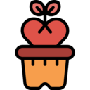 heart,nature,love,plant,valentines day,leaf,gardening,garden,flower,flowers ok 