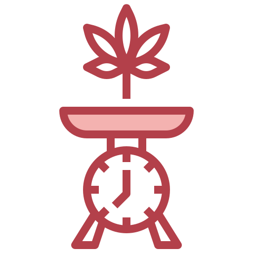 Scale