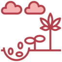 nature,plant,sprout,botanic,seeds,germination