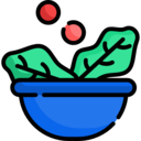 food,vegan,healthy food,food and restaurant,organic,vegetarian,vegetables,salad