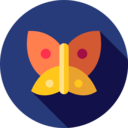 animals,insect,butterfly,moths