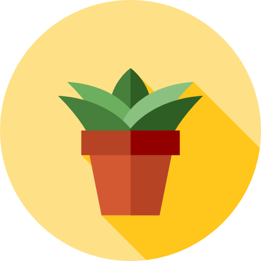 Aloe