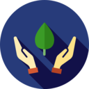 ecology and environment,ecology,nature,farming and gardening,tree,sprout,gardening,growing seed