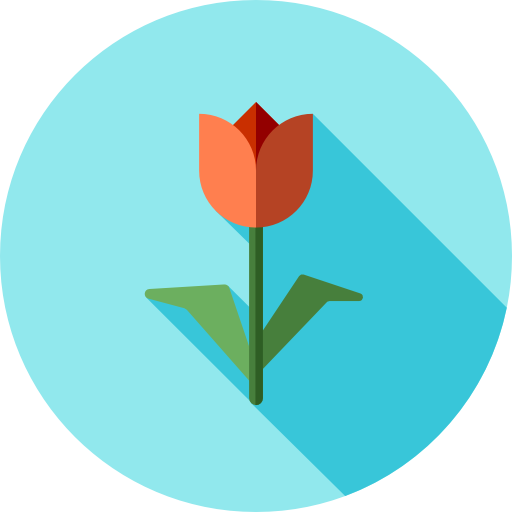 Tulip