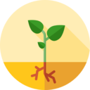ecology and environment,nature,farming and gardening,tree,sprout,gardening,growing seed