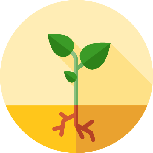 Sprout