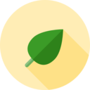 nature,plant,botanical,leaf,leaves,garden
