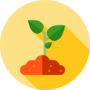 ecology and environment,nature,farming and gardening,tree,sprout,gardening,growing seed
