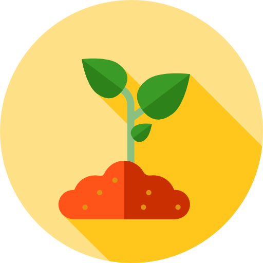 Sprout