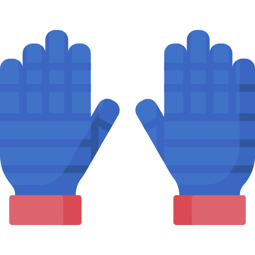 Gloves