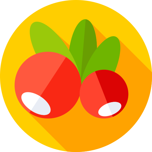 Mistletoe