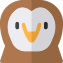 animals,wild life,animal kingdom,zoo,zoology,owl