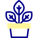 nature,pot,plant,farming and gardening,gardening,garden,plant pot,botanic,flower pot