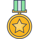 sports and competition,medal,winner,award,champion,brit awards,haw sports fill,special