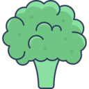 vegan,healthy food,food and restaurant,vegetarian,supermarket,vegetables,broccoli ok 