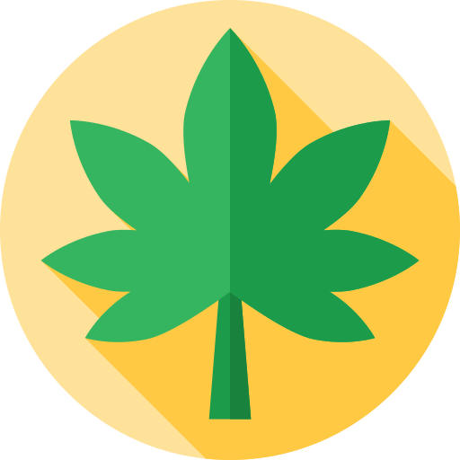 Cannabis