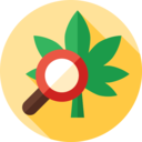 healthcare and medical,healthcare,magnifying glass,nature,search,loupe,research,treatment,drug,Cannabis,Marijuana,medicinal