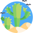 dry,nature,plant,botanical,cactus,desert