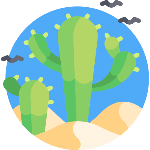Cactus