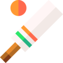 sports and competition,game,bat,team sports,cricket