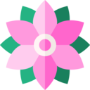 nature,botanical,flower,blossom,petals