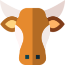 animals,mammal,animal,farm,milk,smart farm,cow