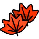 nature,plant,botanical,holidays,leaf,leaves,garden
