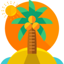 summertime,beach,summer,weather,nature,tropical,botanical,palm tree