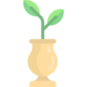 nature,tree,sprout,gardening,growing seed