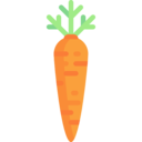 food,carrot,vegetable,vegan,healthy food,organic,diet,vegetarian ok 
