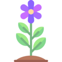 nature,botanical,garden,flower,blossom ok 