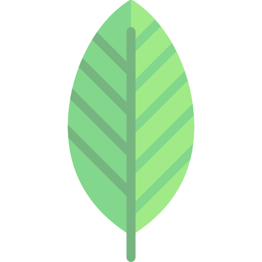 Leaf