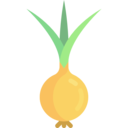 food,vegetable,vegan,healthy food,organic,diet,vegetarian,onion ok 