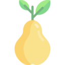food,vegan,healthy food,diet,vegetarian,fruit,pear ok 