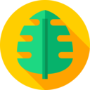 nature,plant,leaf,herbs