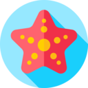 animals,animal,starfish,sealife
