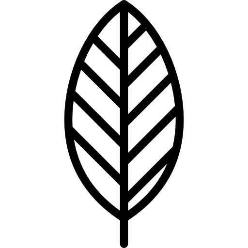 Leaf