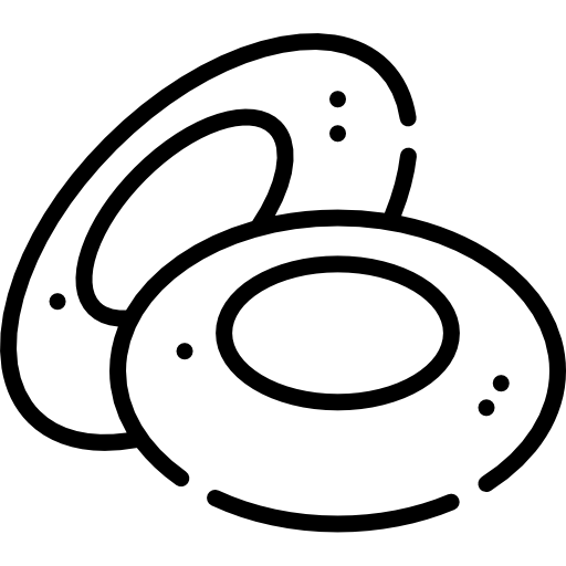 Erythrocytes
