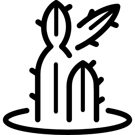 cactus
