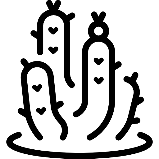 cactus