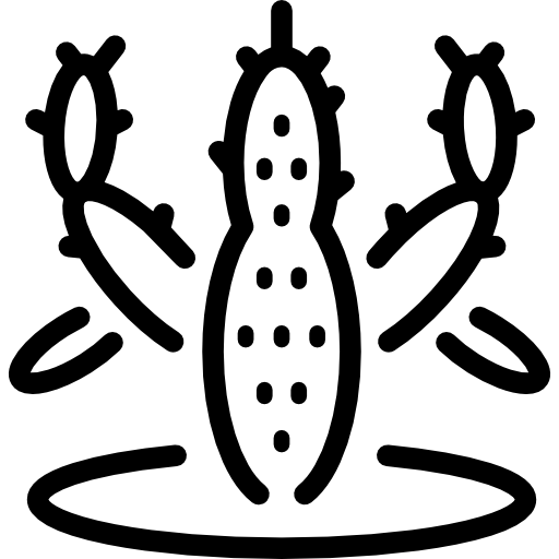 cactus