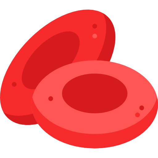Erythrocytes