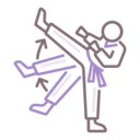 sports and competition,sport,arts,fight,martial arts,karate,tatami,martial