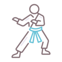 sports and competition,sport,arts,fight,martial arts,karate,tatami,martial