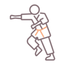 sports and competition,sport,arts,fight,martial arts,judo,tatami,martial