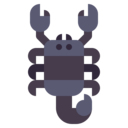 animals,signs,shapes,shape,animal,zodiac,scorpio,scorpion